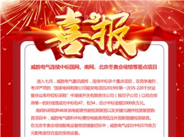 威勝電氣連續(xù)中標國網(wǎng)、南網(wǎng)、北京冬奧會場館等重點項目