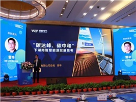 惟遠能源榮獲“十三五”新能源領軍企業(yè)，獻策“十四五”新能源產業(yè)發(fā)展